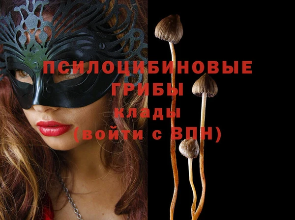 стафф Зеленодольск
